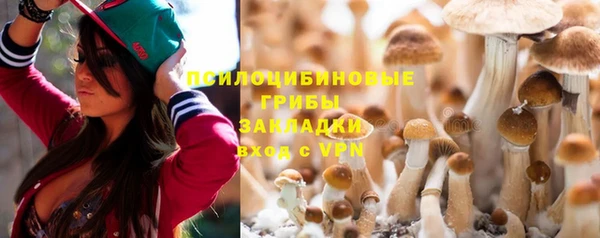 шишки Алексин