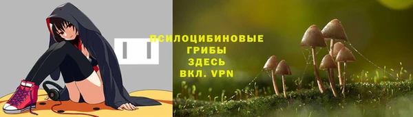 эйфоретик Алексеевка