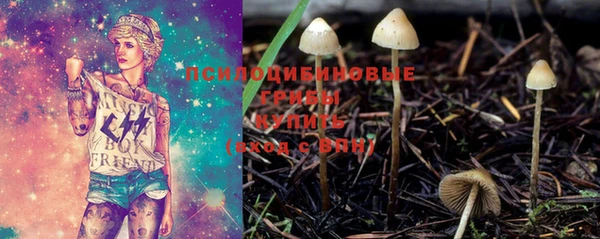 гидра Алзамай