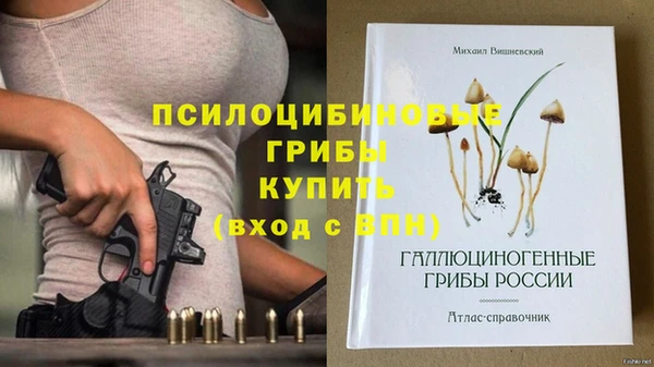 эйфоретик Алексеевка