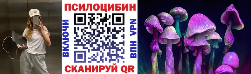 сколько стоит  Николаевск-на-Амуре  Псилоцибиновые грибы Magic Shrooms 
